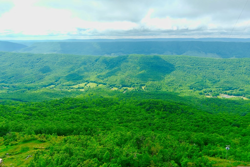 4 Mtn Ridge View of VA
